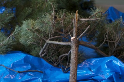 ブルーシートに包まれた松